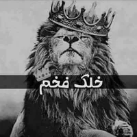 فورد ‏فيوجن ‏SE ‏2015