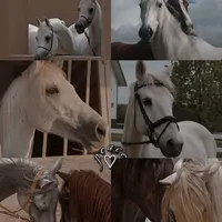 سما  سمير 