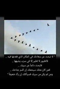 Delivery -Amman