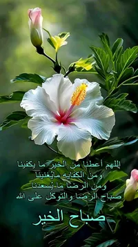 سامسونج ‏جالاسكي S23 بلس ‏512 جيجابايت ‏لؤلؤي