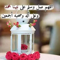 Queen اربد