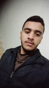 فادي الألفي