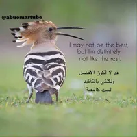 تويوتا ‏FJ ‏GXR ‏2023