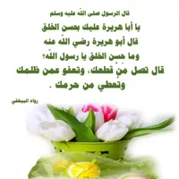 Content Writer -Al Karak