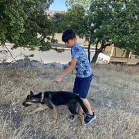 Branch Manager -Amman
