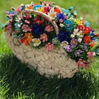 تويوتا فورتشنر Standard 2022