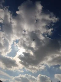 Motorcycle Driver -Ramallah and Al-Bireh