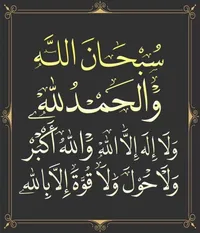 احمد زيدانيين