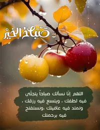 احمد سليمان محمد عثمان
