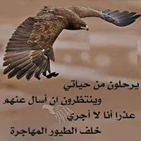 Public Driver -Amman