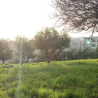 هواوي ‏ميت 20 برو ‏128 جيجابايت ‏بنفسجي