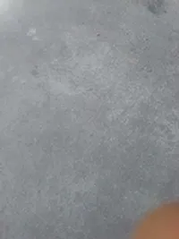 ابو علاء ابو علاء