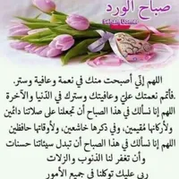 مصلح احمد احمد