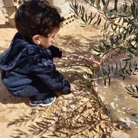 بندر
