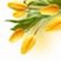 Secretary -Irbid
