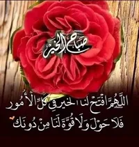 ام حبيبه