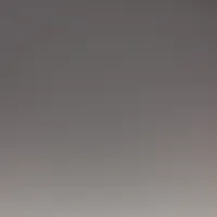 تيسير بني هاني