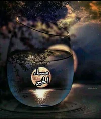 Abed Alqaise