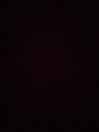 موسى