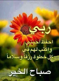 رائد