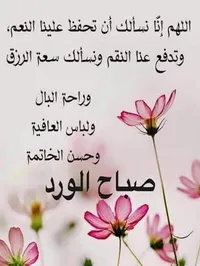 محمود علي