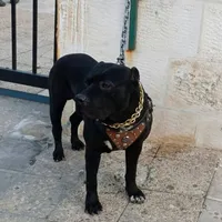 Apple ‏iPhone 14 ‏128 GB ‏White