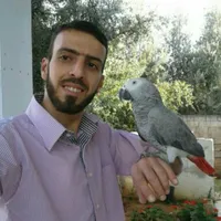 إياد شريم