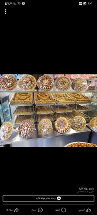 سعيد  ابو عبيد