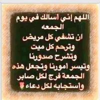 Office Manager -Amman