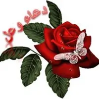 دعاء محمد