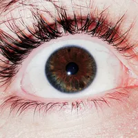 زي تي إي ‏فئة نوبيا ‏1 تيرابايت ‏أبيض