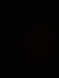 msh