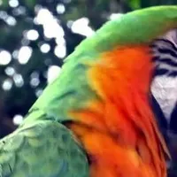 سامسونج جالاكسي A23 64 جيجابايت أسود