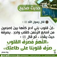 الجارح hadia