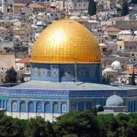 abu zaid