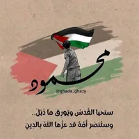 محمود صلاح