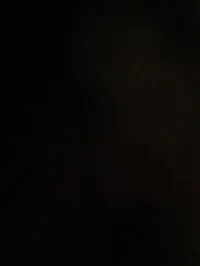 Raneen Dm