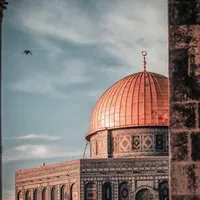mazen abuabdallah