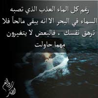 علاء محمد