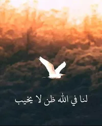 مخازن سيفويه
