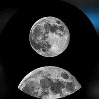 علاء خمايسة