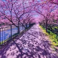 Hyundai ‏Accent ‏Standard ‏1996