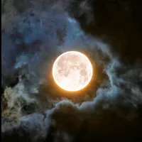 تيسلا ‏موديل X ‏Long Range ‏2025