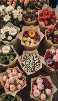 اماني يحيى الجمل