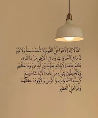 مراد محمد