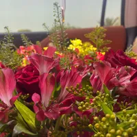 هوندا Gold Wing 2013 1000 سي سي