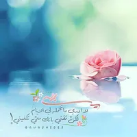 أبل ‏ايباد اير 4 ‏256 جيجابايت ‏12.9 انش