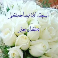 سامسونج ‏جالاكسي S25 الترا ‏512 جيجابايت ‏رمادي