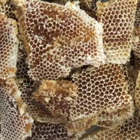 الهيلي للنحل و العسل