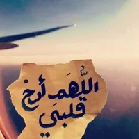 نور محمود